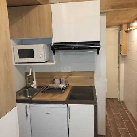 Champs-elysees 9m2 Apartment Paris